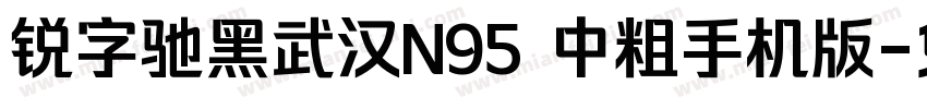 锐字驰黑武汉N95 中粗手机版字体转换